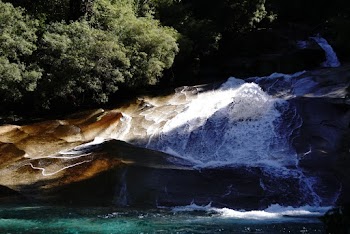 River Current and Green Trees