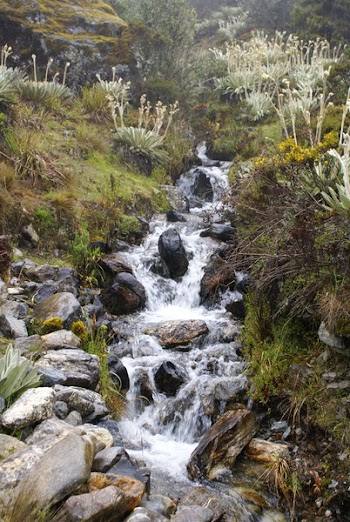 River During Daytime