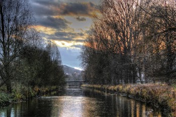 River in Between Forest