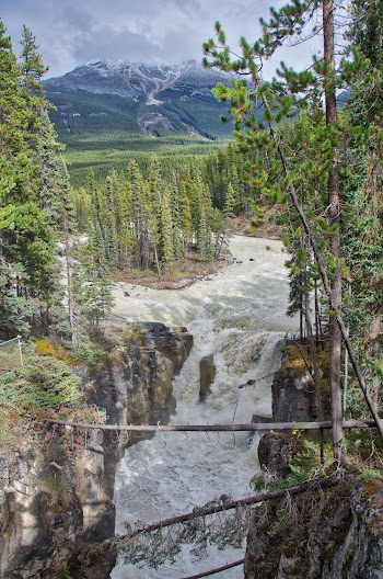 River in Between Tress