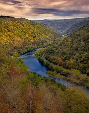 River in Forest