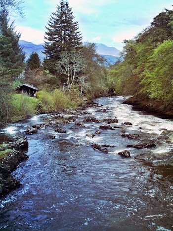 River_n.jpg