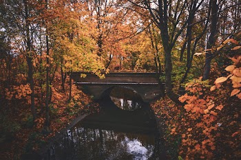 River Near Mini Bridge
