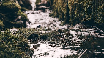 River Photo