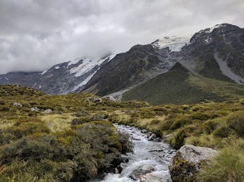 river surrounded by grasses