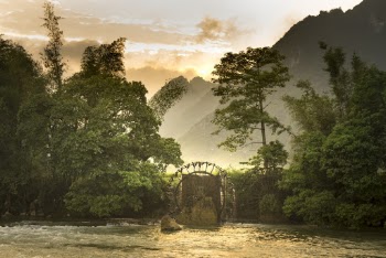 River Surrounded by Green Trees