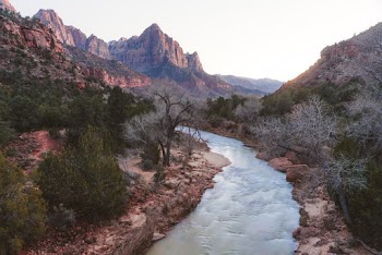 River Surrounded by Plants