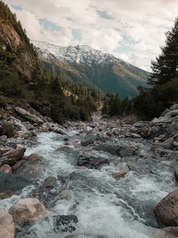 River Surrounded by Rocks and Trees