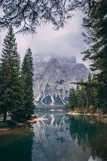 river surrounded by trees near snow mountain