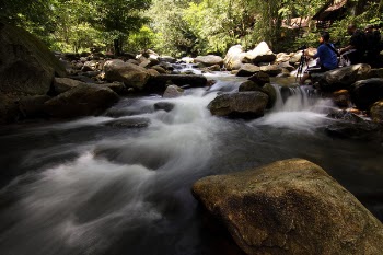 River With Rocks Surrounded by Trees
