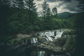 River With Trees Background