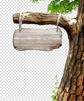 Rize Trabzon Ayder Gxfcneysu Kaxe7kar Mountains, tree transparent background PNG clipart