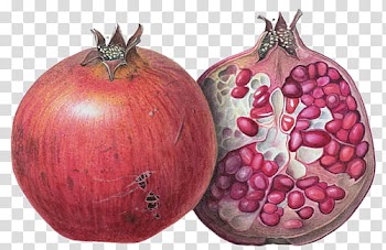 RNDOM, pomegranate fruit transparent background PNG clipart