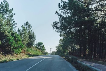Road among the forest