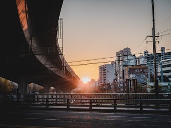 Road and Flyover during Golden Hour