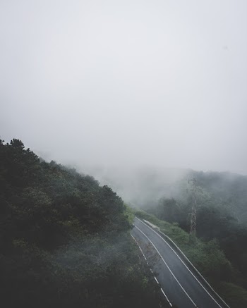 Road Beside Trees during Day