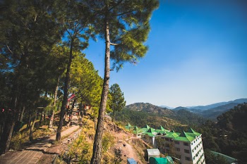 Road Beside Trees Near Under Building