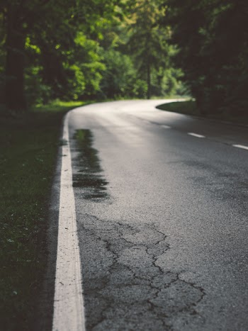 Road Between Tall Trees