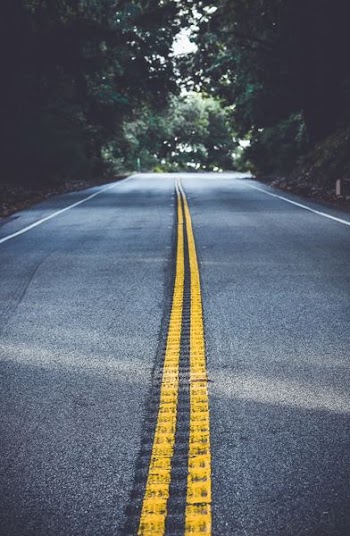 road between trees