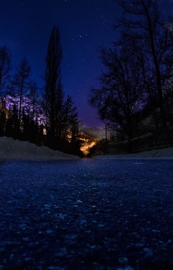 Road Between Trees