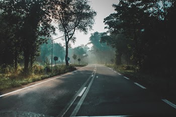 Road In Between 