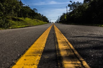 Road in Between Green Tree Under White Clouds and Blue Sky