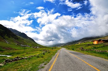 Road in Between of Green Grass