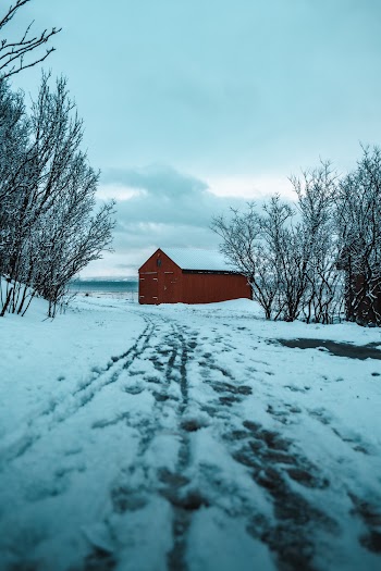 Road Leading to Barn