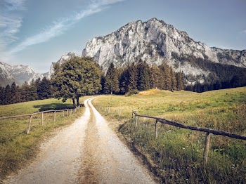 Road Leading To Mountain
