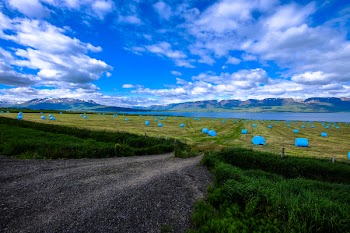 Road Near Grass Field