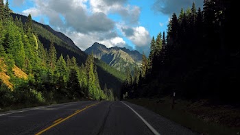 Road Next to Forest and Mountains