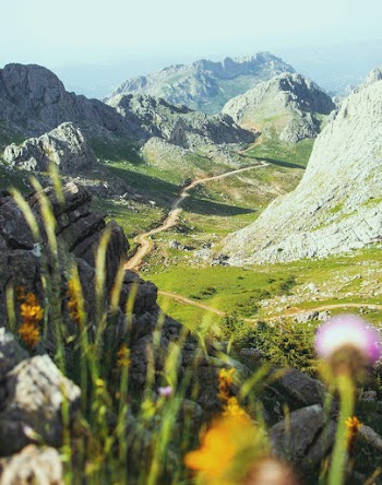 Road On A Valley