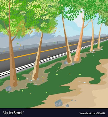 Road side scene vector image