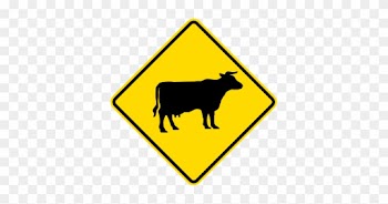 Road So Slippery Your Cars Wheels Will Defy Nature - Meat Is For Pussies: A How-to Guide For Dudes Who Want