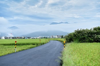 Road Surround by Green Grass