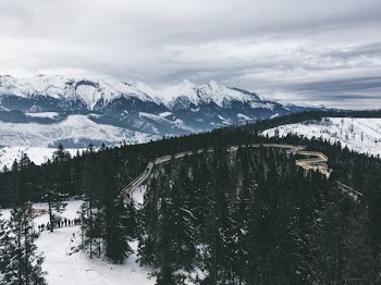 road surrounded by trees near snow filled mountain