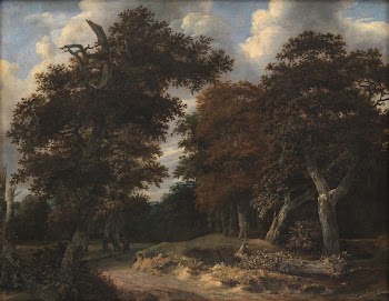 Road through an Oak Forest | Free Photo - rawpixel