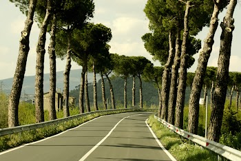 roadCN_2040.jpg
