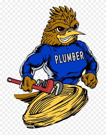 Roadrunner Plumber Plumbing, Drain Cleaning, Video - Canyon Lake High School