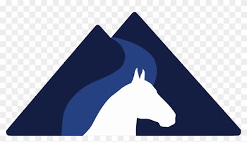 Roaring Fork Equine Medical Center - Stallion