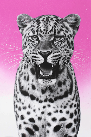 Roaring Leopard Portrait on Pink Background