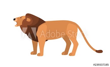 Roaring lion isolated on white background