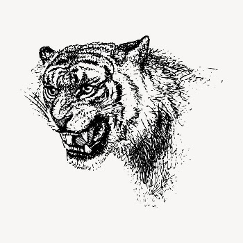 Roaring tiger clipart, vintage hand | Free Vector - rawpixel