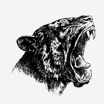 Roaring tiger head hand drawn | Free Photo - rawpixel