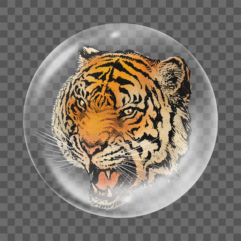 Roaring tiger png   | Free PNG - rawpixel