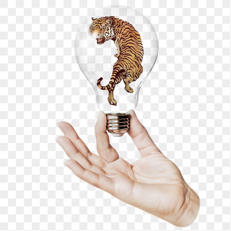 Roaring tiger png sticker, hand | Free PNG - rawpixel