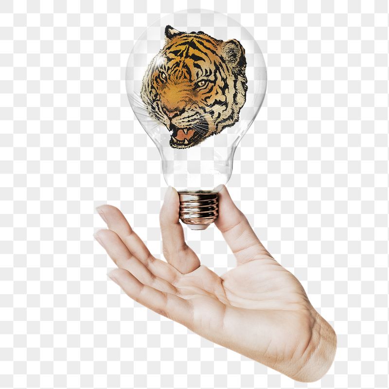 Roaring tiger png sticker, hand | Free PNG - rawpixel