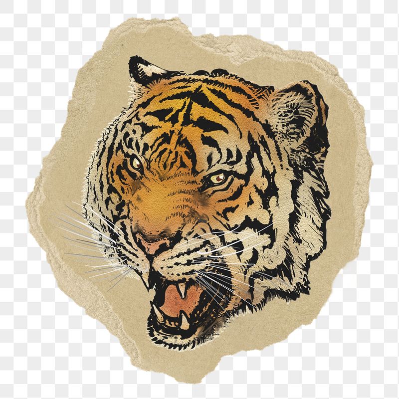Roaring tiger png sticker, ripped | Free PNG Illustration - rawpixel