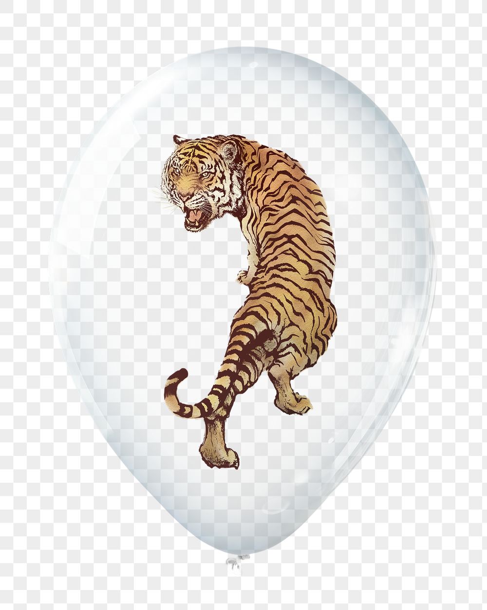 Roaring tiger png sticker, wildlife | Free PNG - rawpixel
