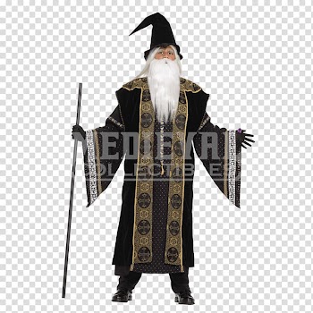 Robe Halloween costume Magician Merlin, medieval transparent background PNG clipart